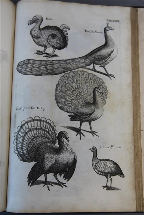 Willoughby, Francis - The Ornithology ..., 1st edition in English, rebound 17th century style calf, with 2 tables